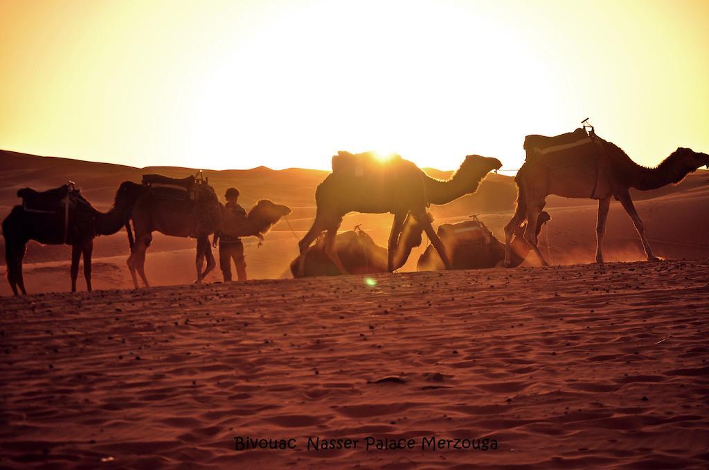 Nasser Palace Hotel & Bivouacs 메르주가 외부 사진